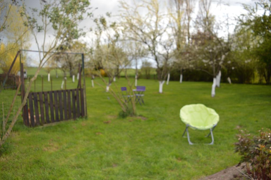 Au Passage Des Grues Bed & Breakfast Drosnay Luaran gambar